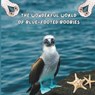 The Wonderful World of Blue-footed Boobies: Interesting Facts About Blue-footed Boobies - Mimi Jones - 9781958985151