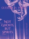 Not Ghosts, But Spirits II - PERKOVICH,  Emily - 9781959118299