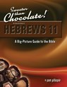 A Big Picture Guide to the Bible: A Flexible Inductive Study of Hebrews 11 - Pam Gillaspie - 9781960938039