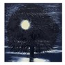 Ann Craven: Night - Ann Craven - 9781961883161