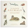 Our Big Book of Animals - Tabitha Paige - 9781963183566