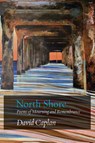 North Shore - David Caplan - 9781963475494
