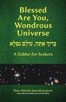 Blessed Are You, Wondrous Universe - Herbert J Levine - 9781963475630