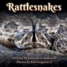 Rattlesnakes - Jessica Lee Anderson - 9781964078199