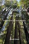 Too Wonderful for Me - Bruce Green - 9781964805245