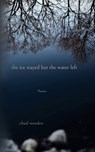 The ice stayed but the water left - Chad Weeden - 9781965412060