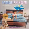 Panaginip ni Nolan (Nolan's Dream) - Janice Ramos Tingley - 9781965552445