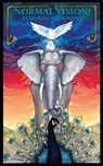 Normal Vision? - Stephen J. Mulrooney - 9781966476054