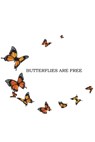 Butterflies Are Free - Shirley M. Ford - 9781966815020