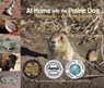 At Home with the Prairie Dog - Dorothy Hinshaw Patent - 9781970039061