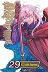 D.Gray-man, Vol. 29 - Katsura Hoshino - 9781974765881