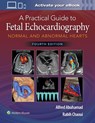 A Practical Guide to Fetal Echocardiography - Alfred Z. Abuhamad ; Rabih Chaoui - 9781975126810