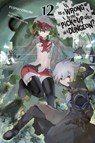 Is It Wrong to Try to Pick Up Girls in a Dungeon?, Vol. 12 (light novel) - Fujino Omori ; Suzuhito Yasuda - 9781975354787