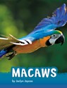 Macaws - Jaclyn Jaycox - 9781977132994