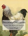 Brahma Chickens: From The Book of Poultry - Jackson Chambers - 9781979401869