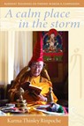 A Calm Place in the Storm - Karma Thinley Rinpoche - 9781998248087
