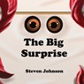 The Big Surprise - JOHNSON,  Steven - 9781999189006