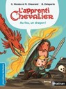 Au feu, un dragon ! - Christophe Nicolas ; Rémi Chaurand - 9782092561782