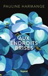 Aux endroits brisés - Pauline Harmange - 9782213722597