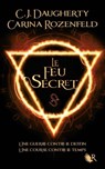Le Feu secret - tome 1 - C.J. Daugherty ; Carina Rozenfeld - 9782221191484
