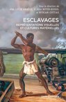 Esclavages. Représentations visuelles et cultures matérielles - Myriam Cottias ; Ana Lucia Araujo ; Klara Boyer-Rossol - 9782271151179