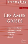 Fiche de lecture Les Ames grises de Claudel (Analyse litteraire de reference et resume complet) - Philippe Claudel - 9782367889511