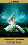Peter Pan - J.M. Barrie - 9782377875481