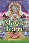 La Magie de la Terre - Empruntez la voie sacrée de la guérison chamanique - Steven D. Farmer - 9782381353036