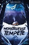 Monstrueuse tempête - Fabien Fernandez - 9782381671802