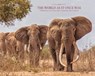 The World As It Once Was - George Dian Balan - 9782805205903