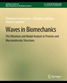 Waves in Biomechanics - Domenico Scaramozzino ; Giuseppe Lacidogna ; Alberto Carpinteri - 9783031014864