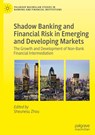 Shadow Banking and Financial Risk in Emerging and Developing Markets - Sheunesu Zhou - 9783031862236