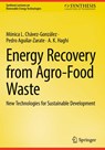 Energy Recovery from Agro-Food Waste - Monica L. Chavez-Gonzalez ; Pedro Aguilar-Zarate ; A. K. Haghi - 9783031890987
