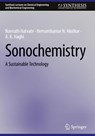 Sonochemistry - Navnath Hatvate ; Hemantkumar N. Akolkar ; A. K. Haghi - 9783031916557