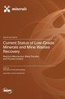 Current Status of Low-Grade Minerals and Mine Wastes Recovery -  - 9783036579719