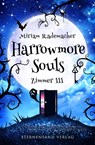 Harrowmore Souls (Band 1): Zimmer 111 - Miriam Rademacher - 9783038961000
