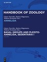 Annelida Basal Groups and Pleistoannelida, Sedentaria I - Gunter Purschke ; Markus Boeggemann ; Andreas Schmidt-Rhaesa ; Wilfried Westheide - 9783110291469