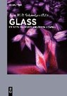 Glass - Alexander S. Abyzov - 9783110555653