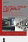 Industrial Labour in an Unequal World - Christian Strumpell ; Michael Hoffmann - 9783111304267
