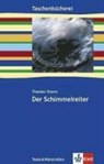 Der Schimmelreiter. Texte und Materialien - Theodor Storm - 9783122626709