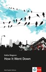 How It Went Down - Kekla Magoon - 9783125782075