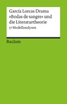 García Lorcas Drama »Bodas de sangre« und die Literaturtheorie - Christian Grünnagel ; Natascha Ueckmann ; Gisela Febel - 9783150176894