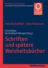 Hebräische Bibel - Altes Testament. Schriften und spätere Weisheitsbücher - Irmtraud Fischer ; Christiana de Groot ; Mercedes Navarro Puerto ; Adriana Valerio - 9783170272101