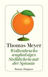 Wolkenbruchs waghalsiges Stelldichein mit der Spionin - Thomas Meyer - 9783257245820