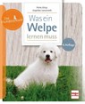 Was ein Welpe lernen muss - Petra Krivy ; Angelika Lanzerath - 9783275022922