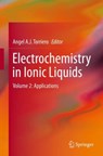 Electrochemistry in Ionic Liquids -  - 9783319151311