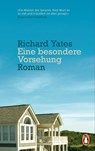 Eine besondere Vorsehung - Richard Yates - 9783328105879