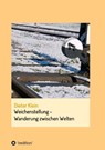 Weichenstellung - Wanderung zwischen Welten - Dieter Klein - 9783347284036