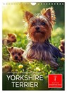 Yorkshire Terrier - ein Hund mit starkem Charakter (Wandkalender 2025 DIN A4 hoch), CALVENDO Monatskalender -  - 9783383771699