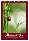 Marienkäfer, Glücksbringer mit sieben Punkten (Wandkalender 2025 DIN A3 hoch), CALVENDO Monatskalender -  - 9783383792557
